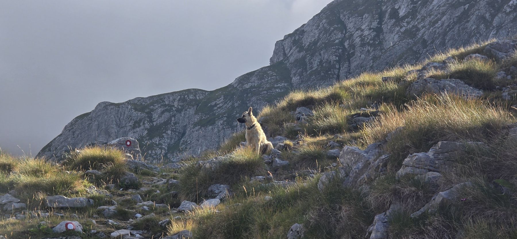 Fotografija s planinarske ture
