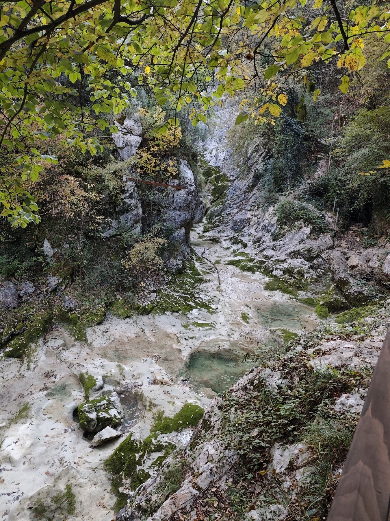 Fotografija s planinarske ture