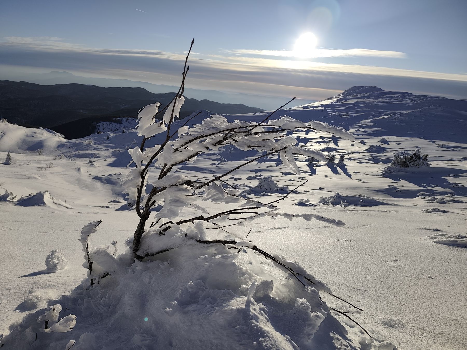 Fotografija s planinarske ture