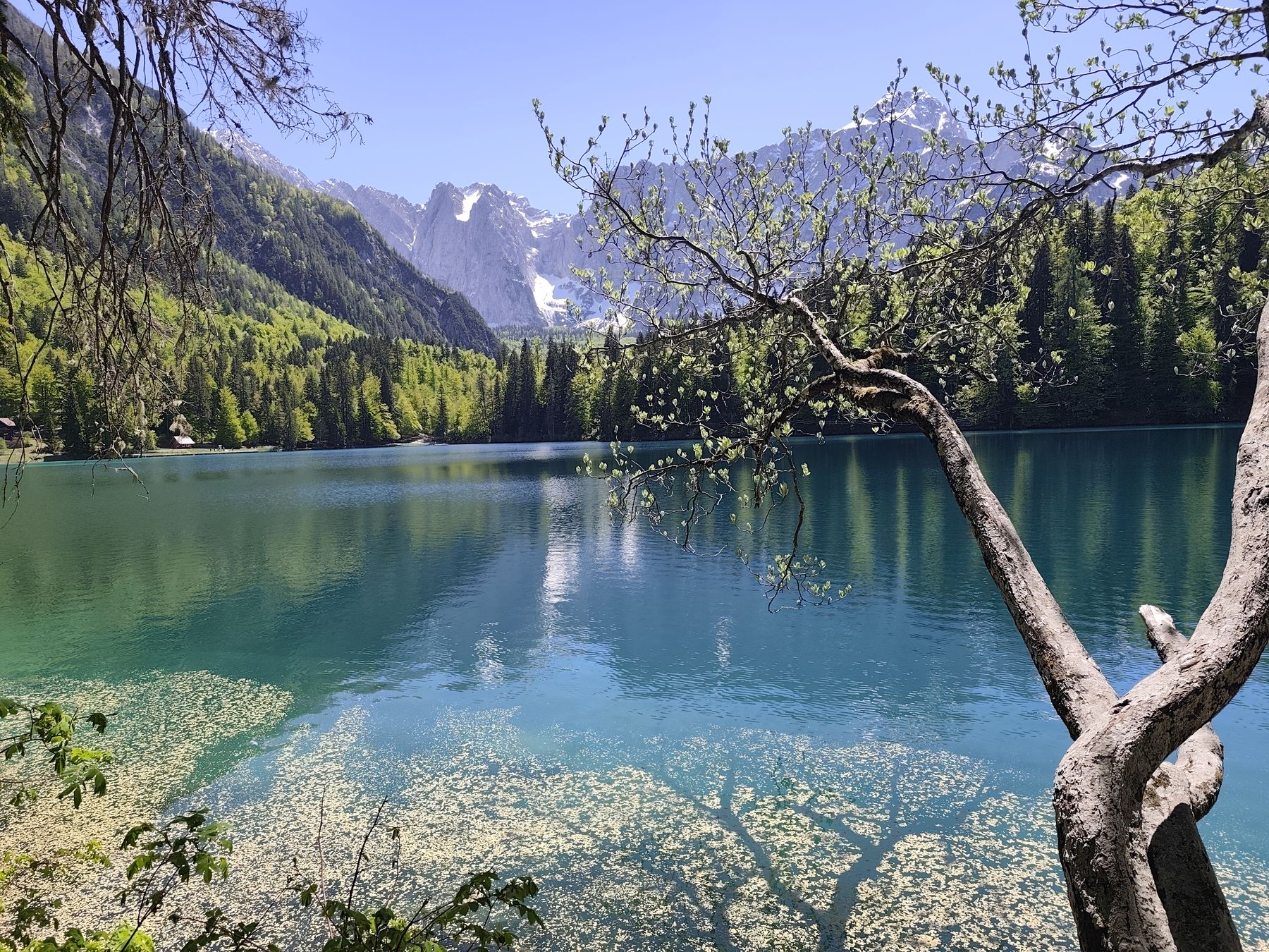 Fotografija s planinarske ture