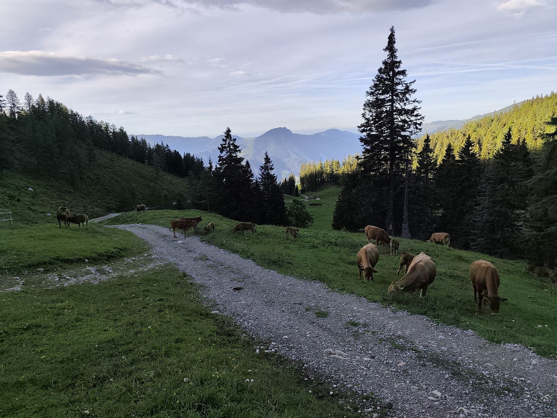 Fotografija s planinarske ture