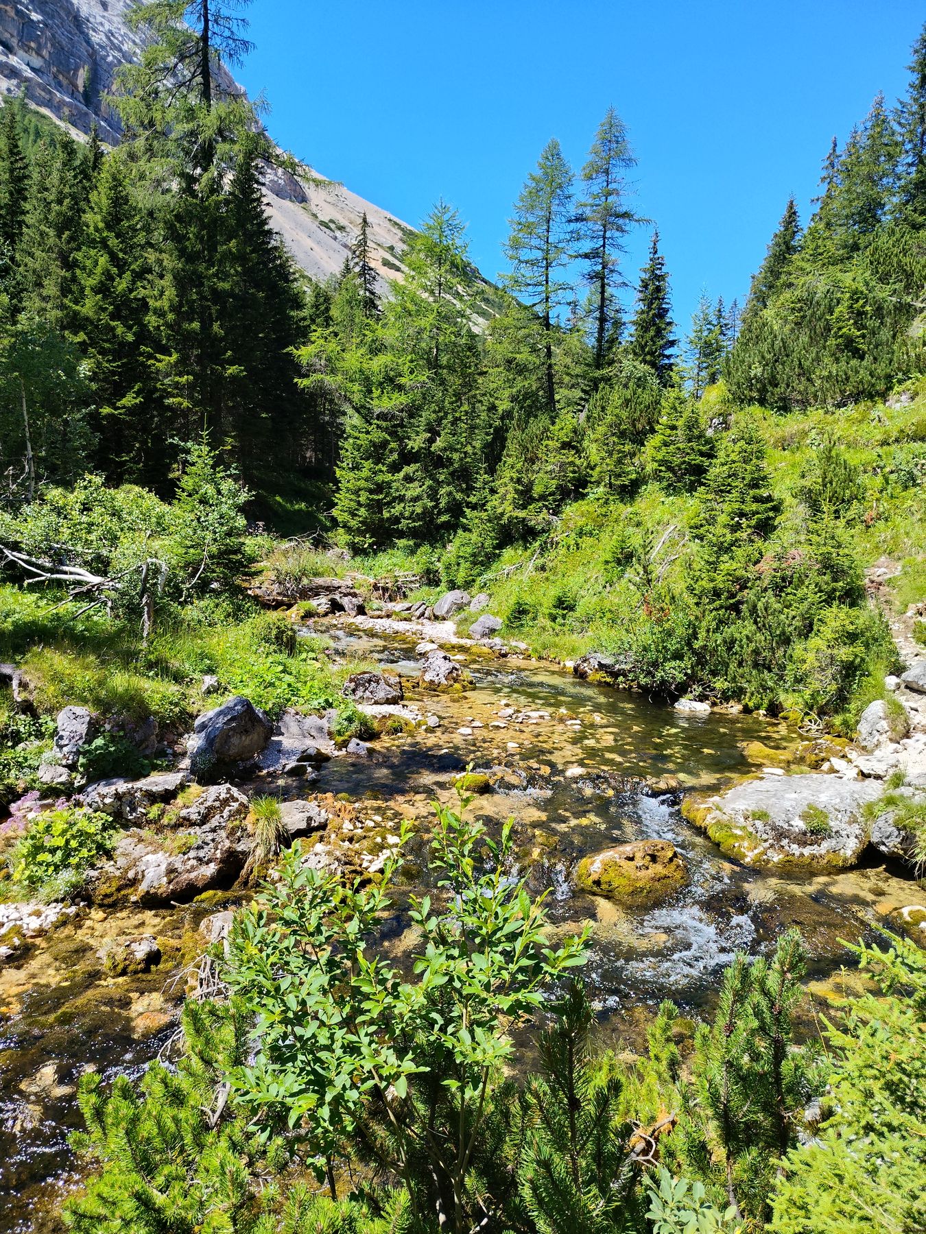 Fotografija s planinarske ture