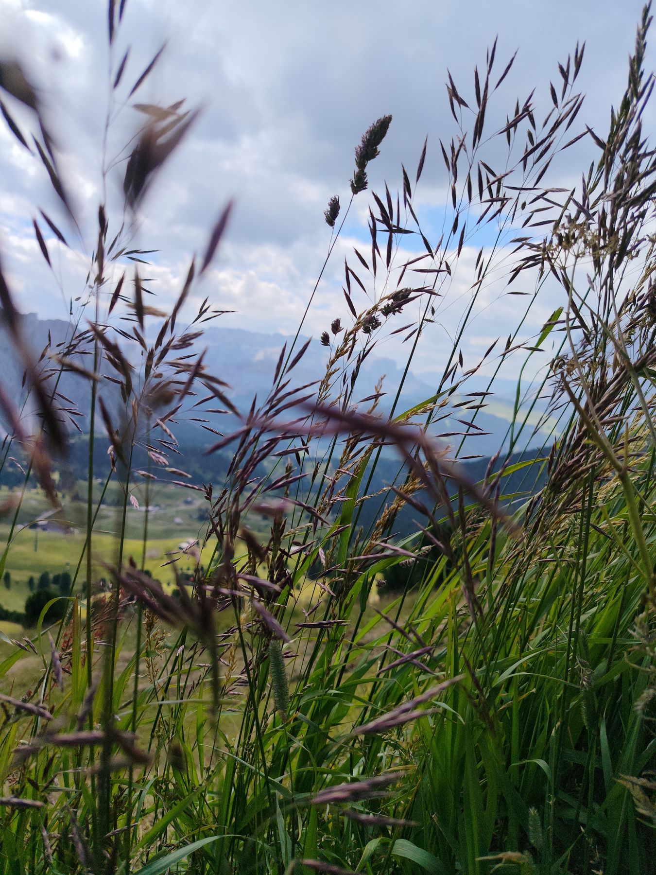 Fotografija s planinarske ture